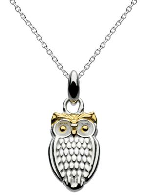 Sterling silver owl with gold plate necklace